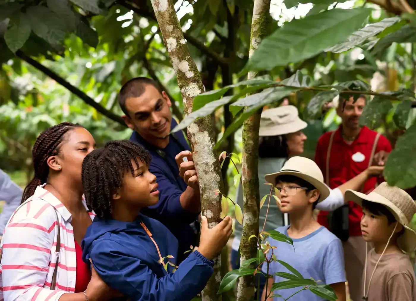 A guide and family exploring tropical plants in Costa Rica.