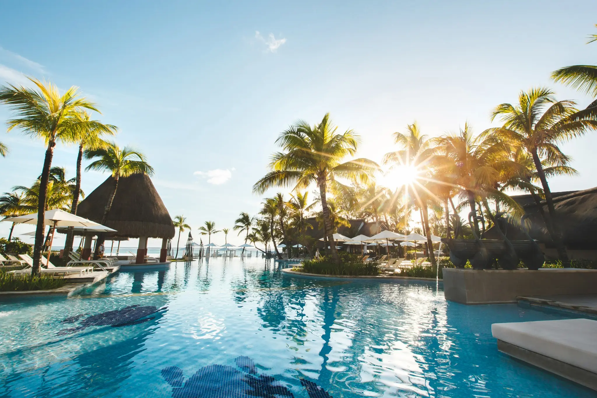 Sunlight through palm trees beside a tropical resort pool